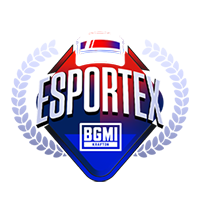 BGMI Logo